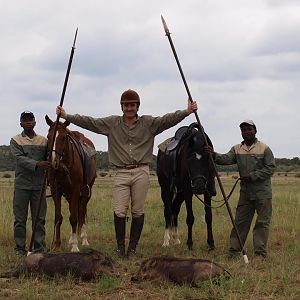 Warthog spear hunting from horseback in Africa