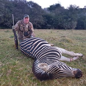 South Africa Hunt Burchell's Plain Zebra