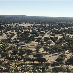 Awesome 360 view from top of our white mountain