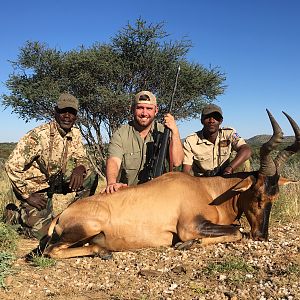 Red Hartebeest Hunting Namibia