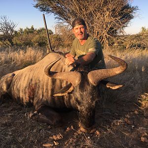 Hunt Blue Wildebeest in Namibia