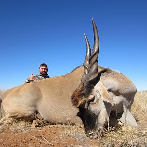 South Africa Hunt Eland