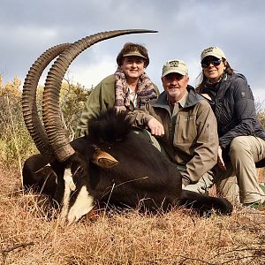 South Africa Hunting Sable Antelope