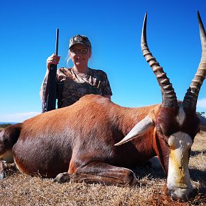 Blesbok Hunting South Africa