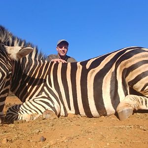 South Africa Hunt Burchell's Plain Zebra