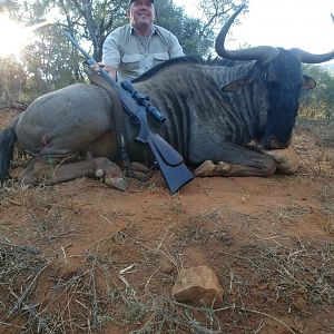 South Africa Hunt Blue Wildebeest