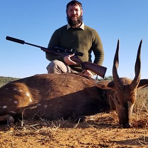 South Africa Bushbuck