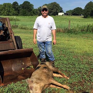 East Texas Hog Hunting