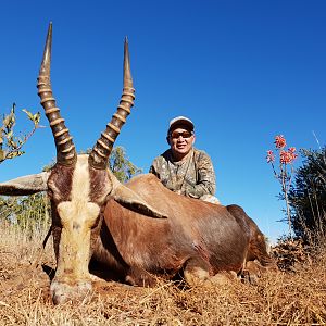 Hunting Blesbok in South Africa