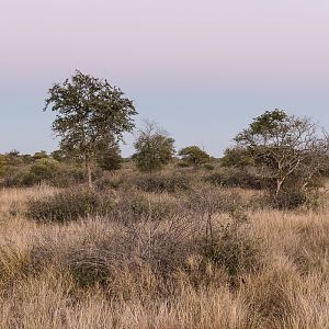 Hunting Area South Africa