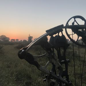 Bow Hunting in South Africa