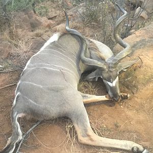 Hunt 59 3/8" Inch Kudu South Africa