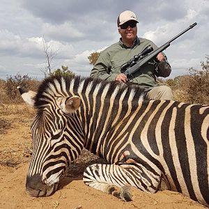 South Africa Hunting Burchell's Plain Zebra