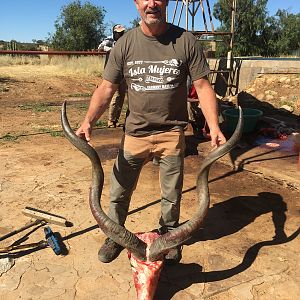 47/48" Inch Kudu Hunt Namibia