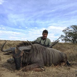 Blue Wildebeest Hunt South Africa