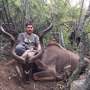 Hunting Kudu in South Africa