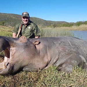 Hunt Hippo in South Africa