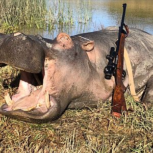 Hunting Hippo in South Africa