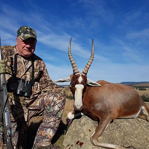 Hunt Blesbok in South Africa