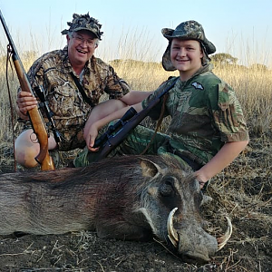 South Africa Hunting Warthog