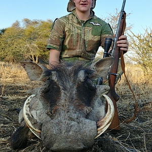 Hunt Warthog in South Africa