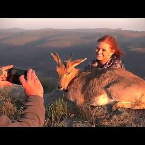 Mountain Reedbuck Hunt in South Africa