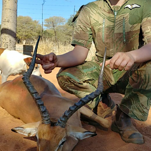 Hunt Impala in South Africa