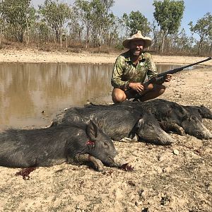 Australia Hunting Pigs