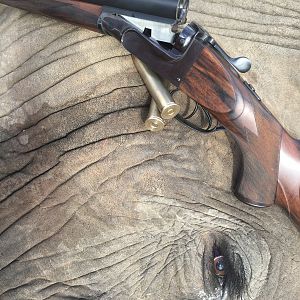 Hunting Elephant With Verney-Carron 700 Nitro Express Double Rifle