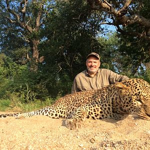 Zimbabwe Hunting Leopard