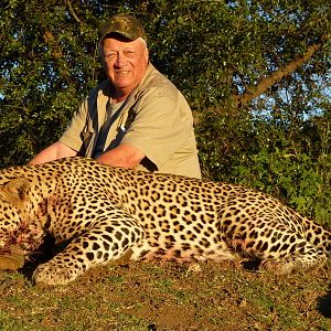 Hunt Leopard in Zimbabwe