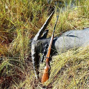 Australia Hunting Asiatic Water Buffalo