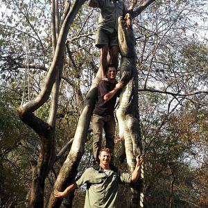 Hunting Crocodile in Zimbabwe