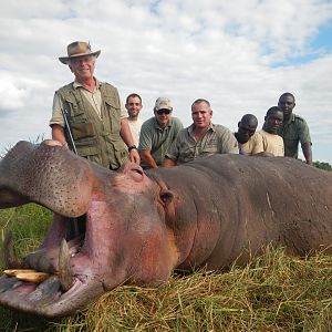 Hunting Hippo in Zimbabwe
