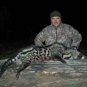 Zimbabwe Hunt African Civet