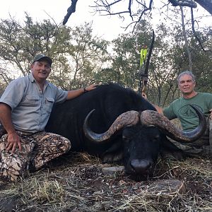 Bow Hunting 44" Inch Cape Buffalo in South Africa