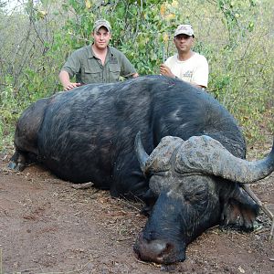 Hunting Buffalo Zimbabwe