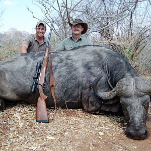 Zimbabwe Hunting Cape Buffalo