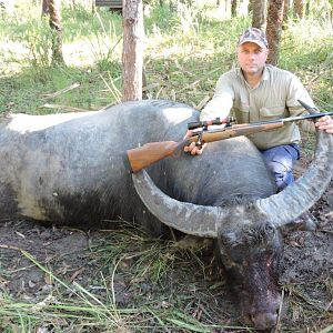 Australia Hunt 108" Inch Asiatic Water Buffalo