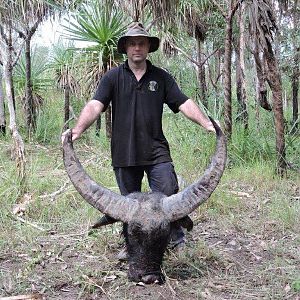 Hunt 108" Inch Asiatic Water Buffalo in Australia