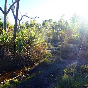 Australia Landscape