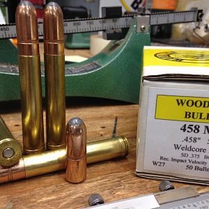 Woodleigh 550grn RN SN Bullet