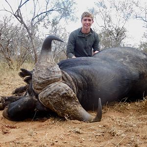 South Africa Hunting Buffalo