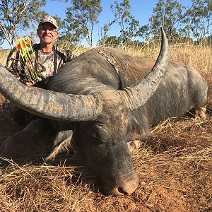 Asiatic Water Buffalo Bow Hunting in Australia