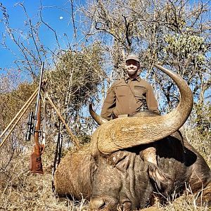 Cape Buffalo Hunting in South Africa