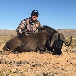 Kalahari South Africa Hunt Black Wildebeest