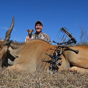 South Africa Bow Hunting Livingstone Eland