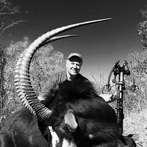 Hunting Sable Antelope South Africa