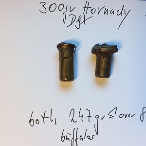 Hornady DGX Bullet Performance