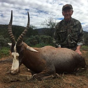 South Africa Hunting Blesbok